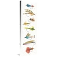 thumbnail image 1 of Global Gallery's 'Gone Fishin X' By Elyse DeNeige Stretched Canvas Wall Art, 1 of 4