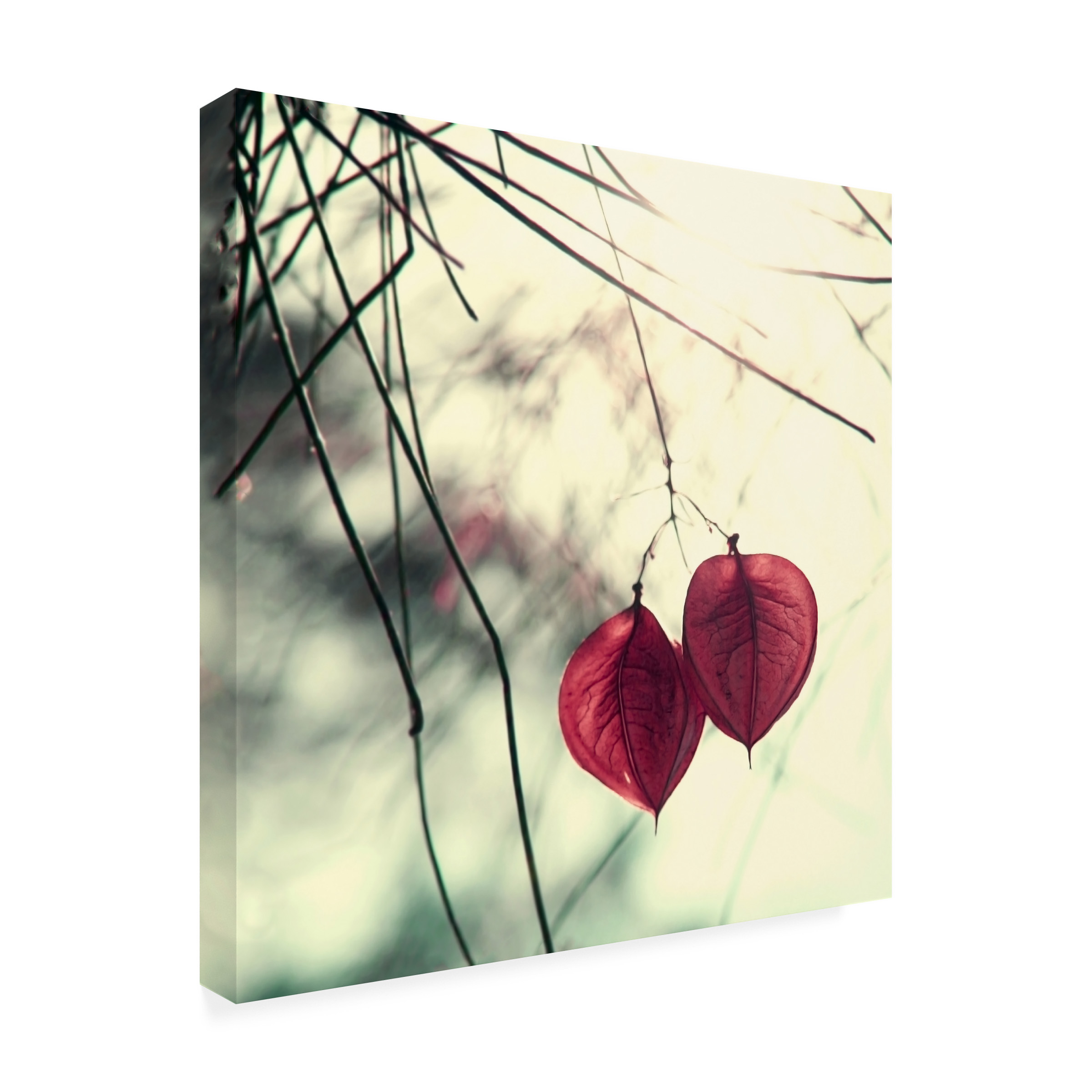 Trademark Fine Art Young 'Together' Canvas Art by Beata Czyzowska