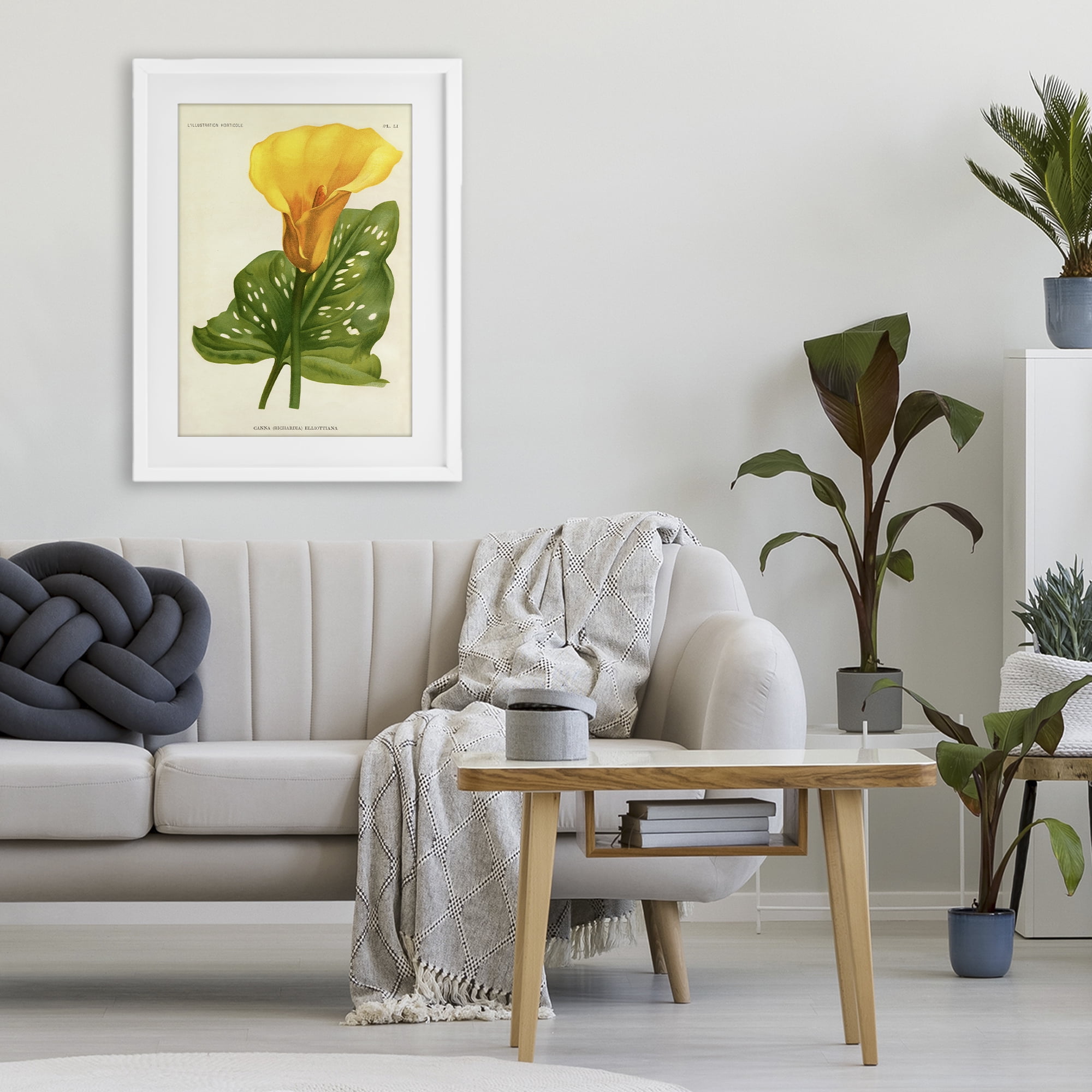 Stupell Industries Yellow Canna Lily White Framed Print Under Glass, design by Print Collection