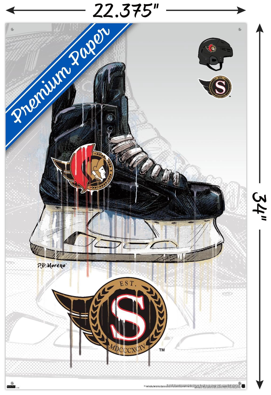 NHL Ottawa Senators - Drip Skate 21 Wall Poster with Pushpins, 22.375" x 34"