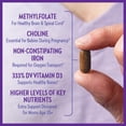 thumbnail image 3 of Vitaminas prenatales New Chapter One, uso diario para mayores de 35 años, 3 of 9