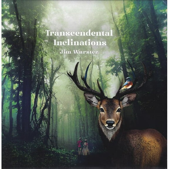 Jim Wurster - Transcendental Inclinations - Music & Performance - CD