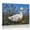 C, variant on XaaKee Canvas Prints Wall Art Smoking Duck Portrait Side Profile Painterly Duck Style Canvas Art Inner Framed 18*12Inch