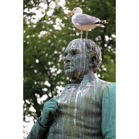Stain Removal Bird Droppings - Canvas Print Gull Statue Degrading Bird Droppings Bird Stretched Canvas 10 x 14