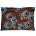 thumbnail image 1 of BSDHOME Peacock Feathers Pillow Cases 20x30 inches Two Sides Print, 1 of 1