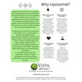 thumbnail image 4 of Vida Lifescience Aurora Nutrascience, Mega-Liposoma R-Alpha Lipoic Acid+ 750 mg with Vitamin C 16 oz Liquid, 4 of 7