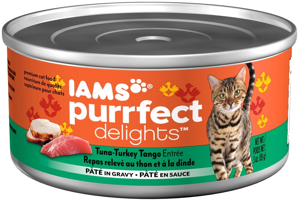 walmart iams cat food