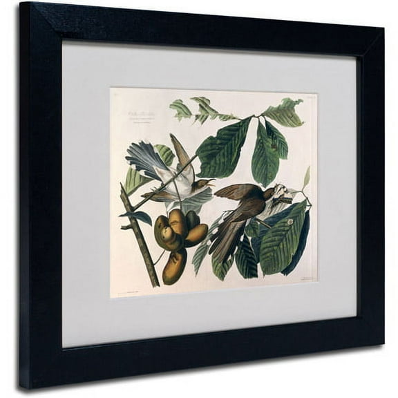 Trademark Fine Art "Yellow-Billed Cuckoo" Canvas Art by John James Audubon, Black Frame