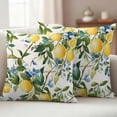 thumbnail image 2 of 2 Pack Outdoor Waterproof Throw Pillow Covers,Vintage Summer Lemon Tree Decorative Square Pillow Case Patio Pillowcases for Chair Couch Sofa 16x16in, 2 of 9