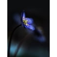 thumbnail image 2 of Westum, Heidi 12x14 White Modern Wood Framed Museum Art Print Titled - Hepatica Nobilis Ll, 2 of 4