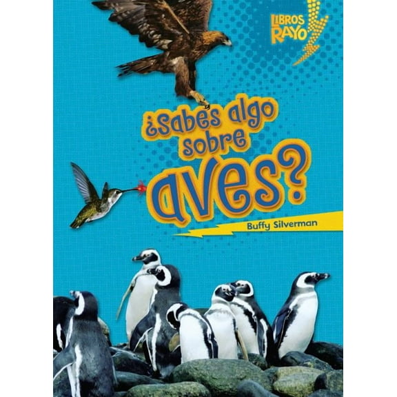 Libros Rayo -- Conoce Los Grupos de Animales (Lightning Bolt: ¿Sabes Algo Sobre Aves? (Do You Know about Birds?) (Paperback)