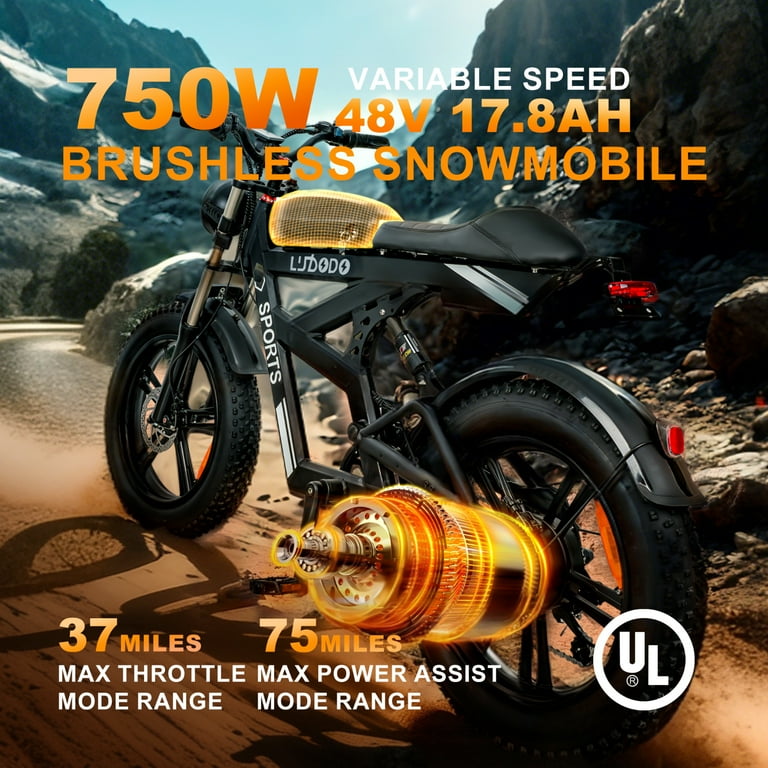 Electric Dirt Bike for Adults 750W Motor 48v 17.8AH ,Top Speed 34MPH,75Miles Long Range 7 speed Motorcycle,20*4.0 Fat Tire Electric Motorcycle with Dual Shock Absorber,Double Disc Brake