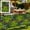 F, variant on Artificial Hedge Fence Panel 23.62"x15.75" | Expandable Faux Leaf Screen for Balcony, Garden, Patio, Wedding Decor | Weather-Proof Privacy Wall Cover