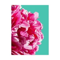 Trademark Fine Art 'Pink Peony On Teal' Canvas Art by Lexie Gree