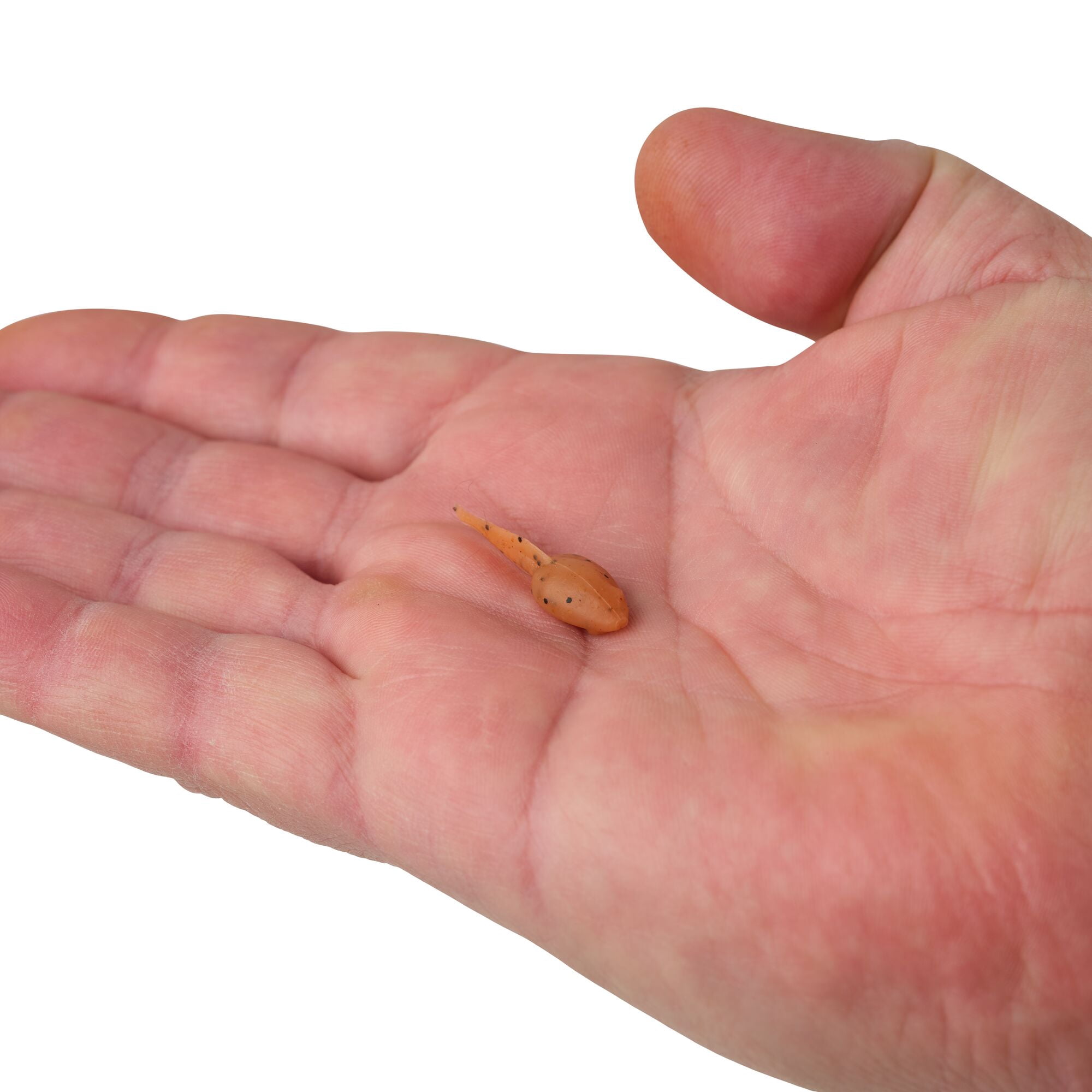 Berkley Gulp! Alive!® Tadpole, 1.25 in, Minnows, Pumpkinseed (1 Count)