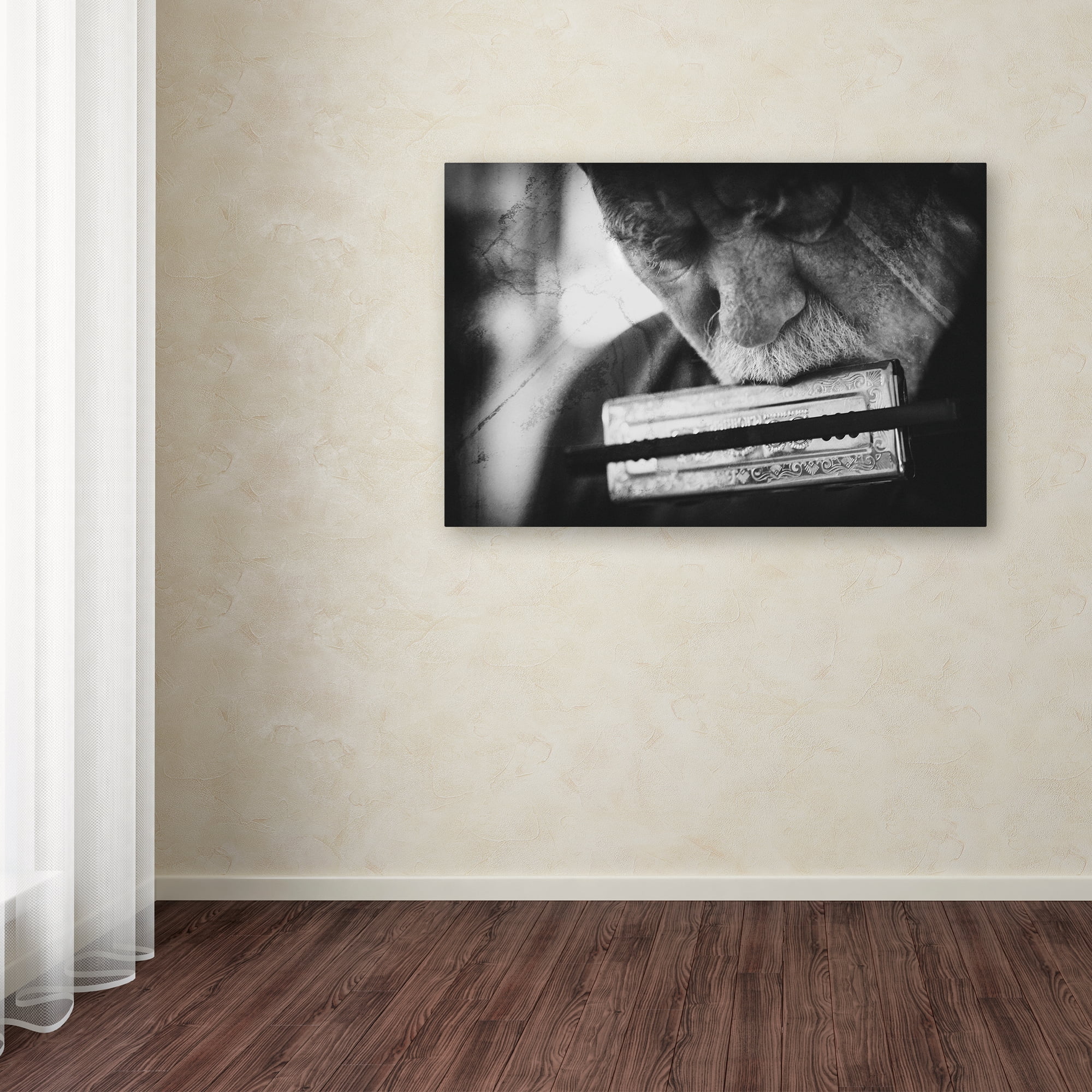 Trademark Fine Art 'Wolf With Harmonica' Canvas Art by Roswitha Schleicher Schwarz