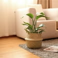 thumbnail image 4 of Xihbxyly Cesta de Mimbre de Algas Marinas, Maceta Tejida a Mano, Diseño Plegable para Ahorrar Espacio, Material Natural, Opciones de Color Azul, Beige, Blanco y Gris, Decoración Del Hogar, Tamaño 22, 4 of 5