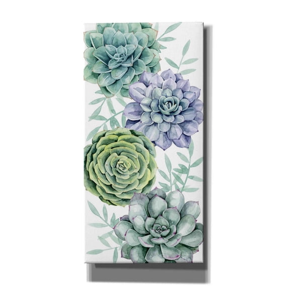 Epic Graffiti 'Succulent Swatch Collection B' by Grace Popp Giclee Canvas Wall Art, 12"x24" 20 x 40