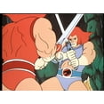 thumbnail image 2 of Thundercats: The Complete Series (DVD)- English only, 2 of 4