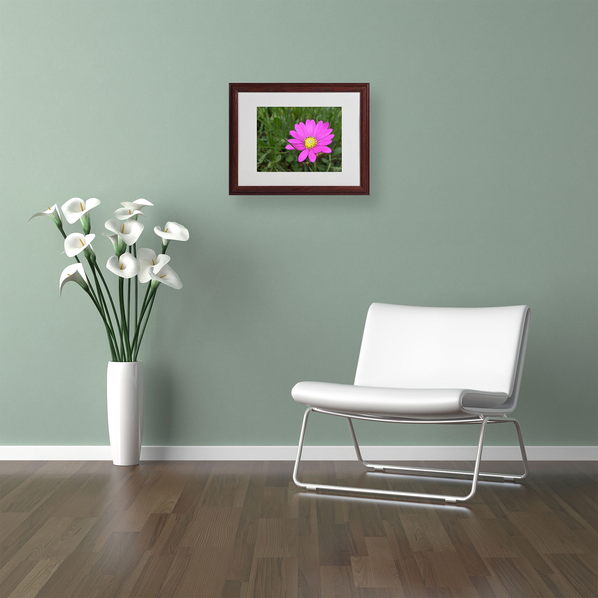 Trademark Fine Art "Alluring Vibrance" by Monica Fleet, Wood Frame