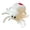 A, variant on Tailed Spider Plush Toy Throw Pillow Realistic Crawling Animal Soft Stuffed Doll for Home Decor Halloween Party Favor Unique Gothic Collectible Cuddly Companion, White, 10 Inch