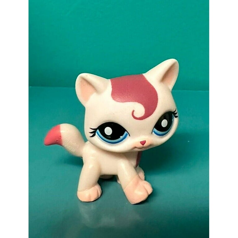 LPS # 733 Shorthair cat Chat européen Authentique Littlest