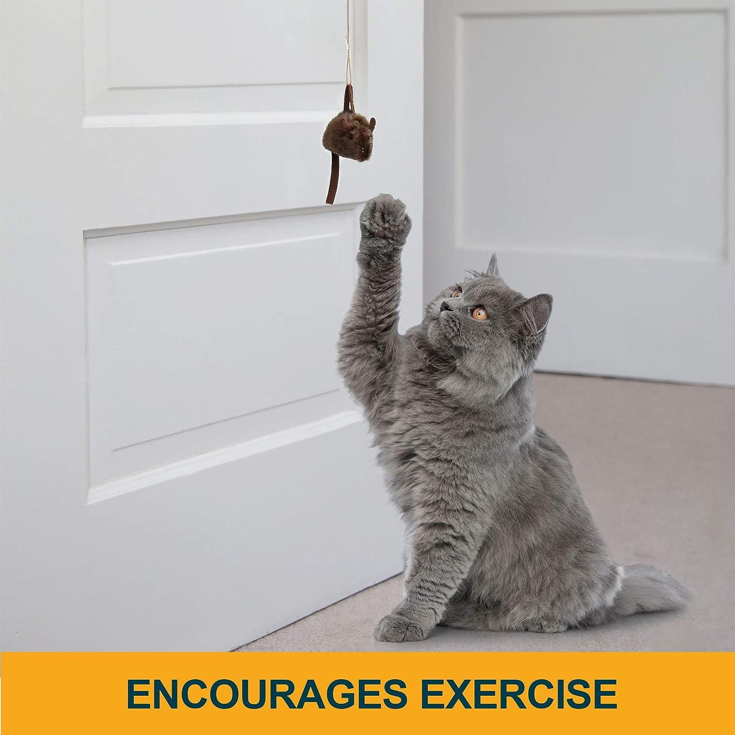 Pet Zone Play N Squeak Batting Practice Interactive Mouse Door Hanger Cat Toy