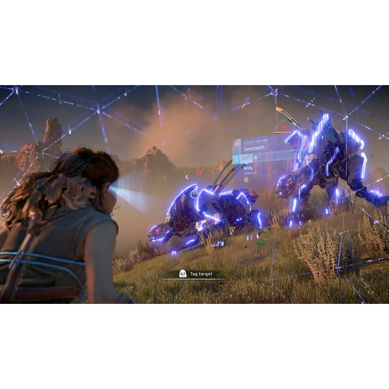 Horizon Zero Dawn Collector's Edition (p - Walmart.com