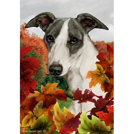 Whippet Blue/White- Best of Breed Fall Leaves Large