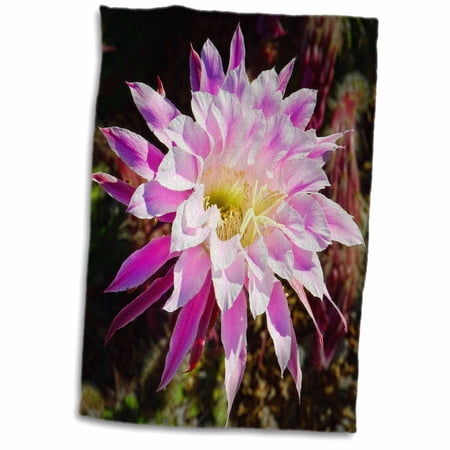 3dRose Decorative colorful garden SW Southwest Desert cactus yellow purple pink classic flower abstract - Towel, 15 by 22-inch