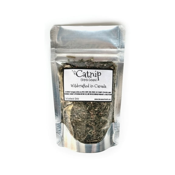 Reiki Charged Catnip Nepeta Cataria Wildcrafted in Canada Loose Leaf Dried Herb 0.25 oz bag Small Sample Tea