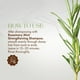 thumbnail image 5 of Mascarilla capilar Mielle Organics Rosemary Mint Strengthening 350 ml, 5 of 6