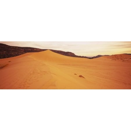 Sand dunes in a desert Coral Pink Sand Dunes State Park Utah USA Canvas Art - Panoramic Images (36 x