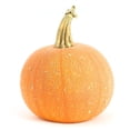 thumbnail image 2 of Everwilde Farms - 1/4 lb Winter Luxury Pumpkin Seeds - Gold Vault Bulk Seed Packet, 2 of 3