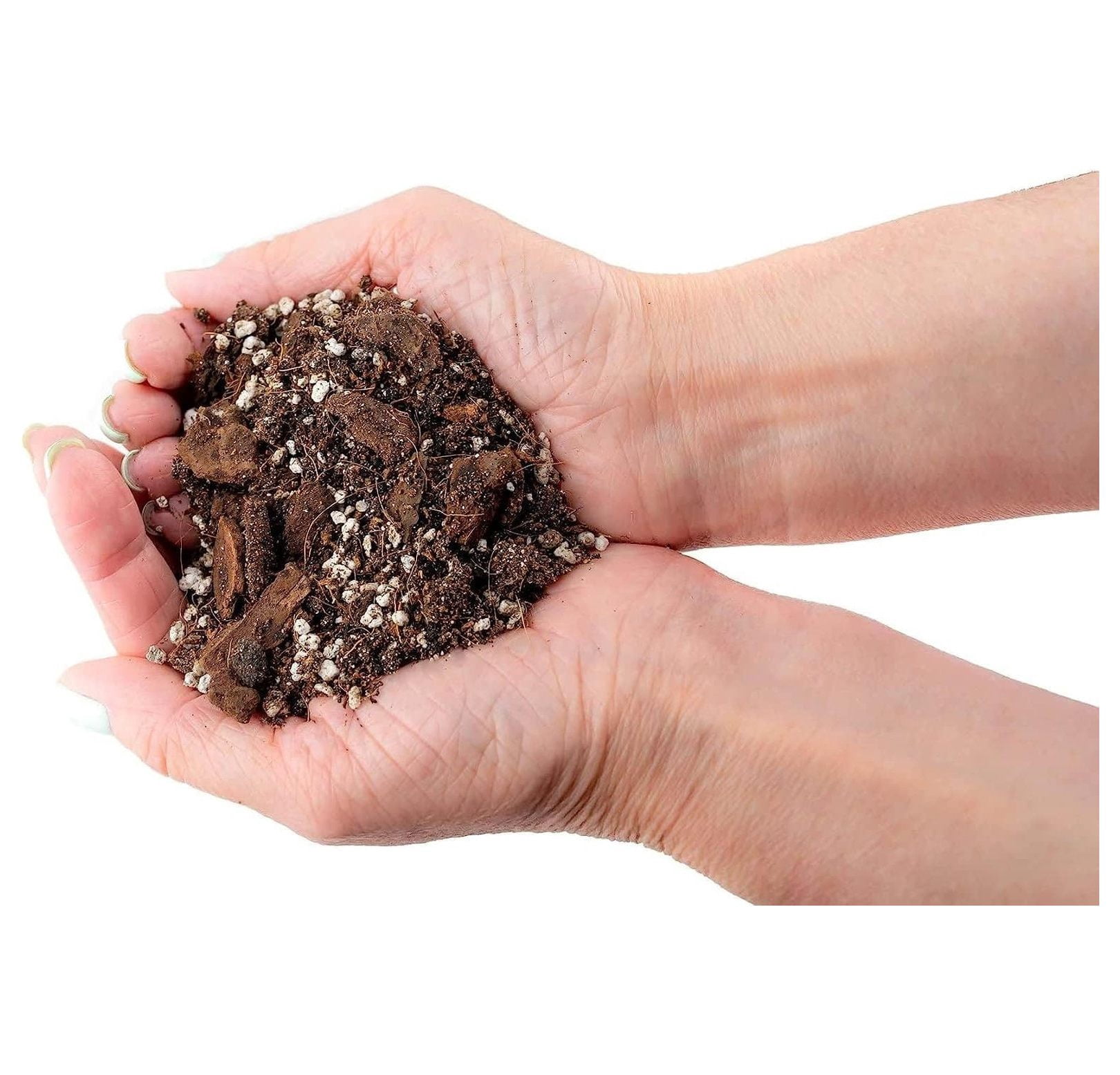 Spider Plant Potting Soil Mix (2 x 5 Quart Bags) - Premium Natural Blend for Healthy Growth, Superior Drainage, & Nutrient Retention - Indoor Houseplant Soil