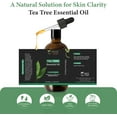 thumbnail image 4 of Natural Way Tea Tree Essential Oil - 4 Fluid Ounce Pack (120ml), 4 of 6
