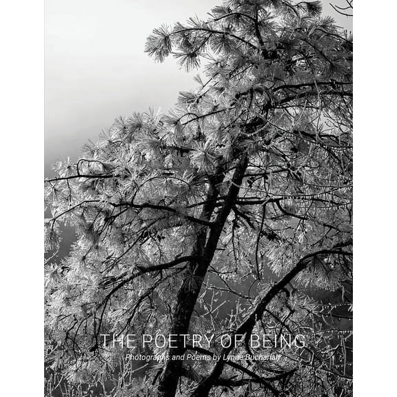 The Poetry of Being (Hardcover)