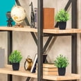 thumbnail image 6 of Der Rose 6 Pack Fake Plants Mini Artificial Plants for Home Office Farmhouse Bathroom Shelf Decor Indoor, 6 of 7