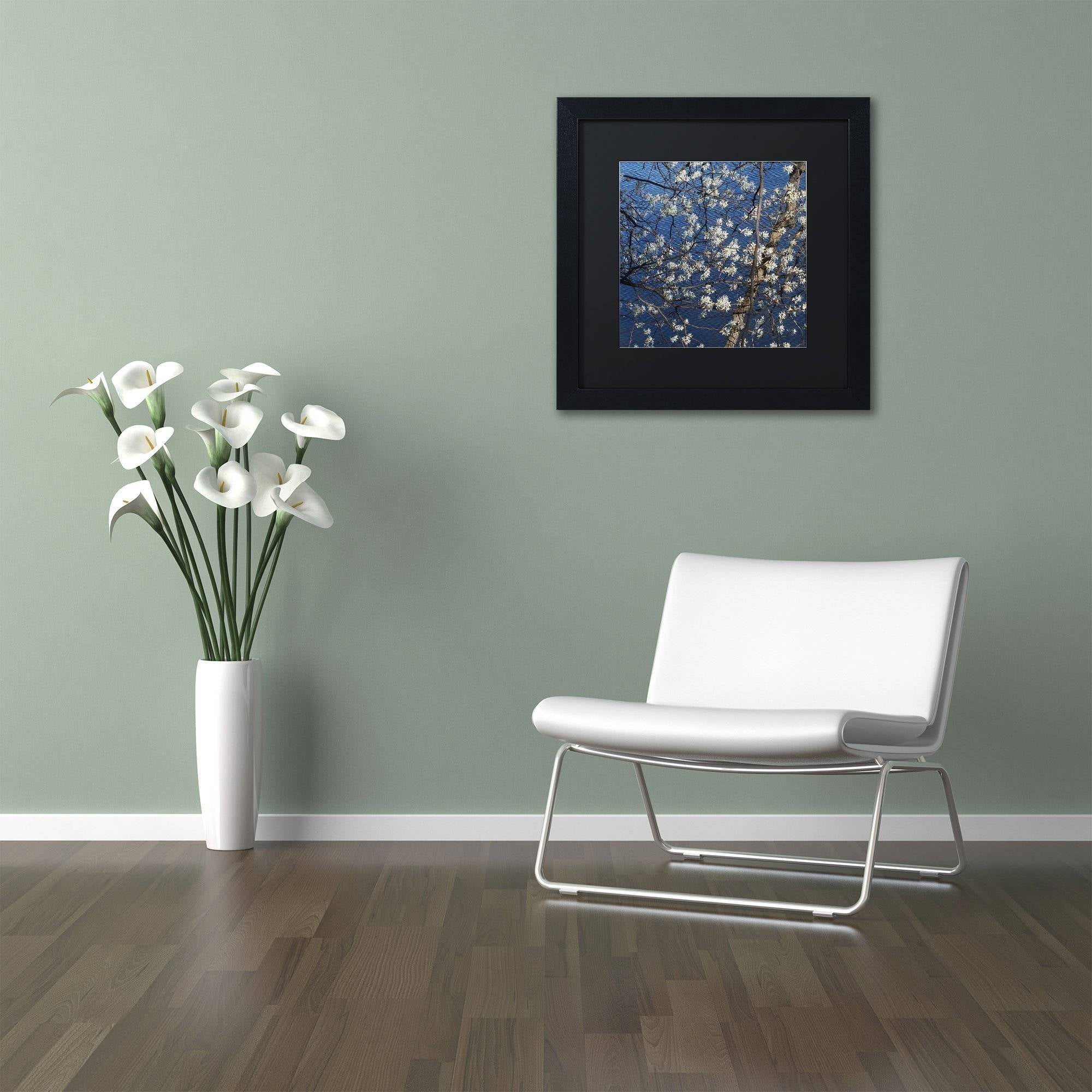 Trademark Fine Art "Springtime at the Lake" Canvas Art by Kurt Shaffer, Black Matte, Black Frame