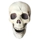 thumbnail image 1 of Creepy Plastic Open Mouth Skull Skeleton Haunted House Decor Halloween Prop Y, 1 of 5
