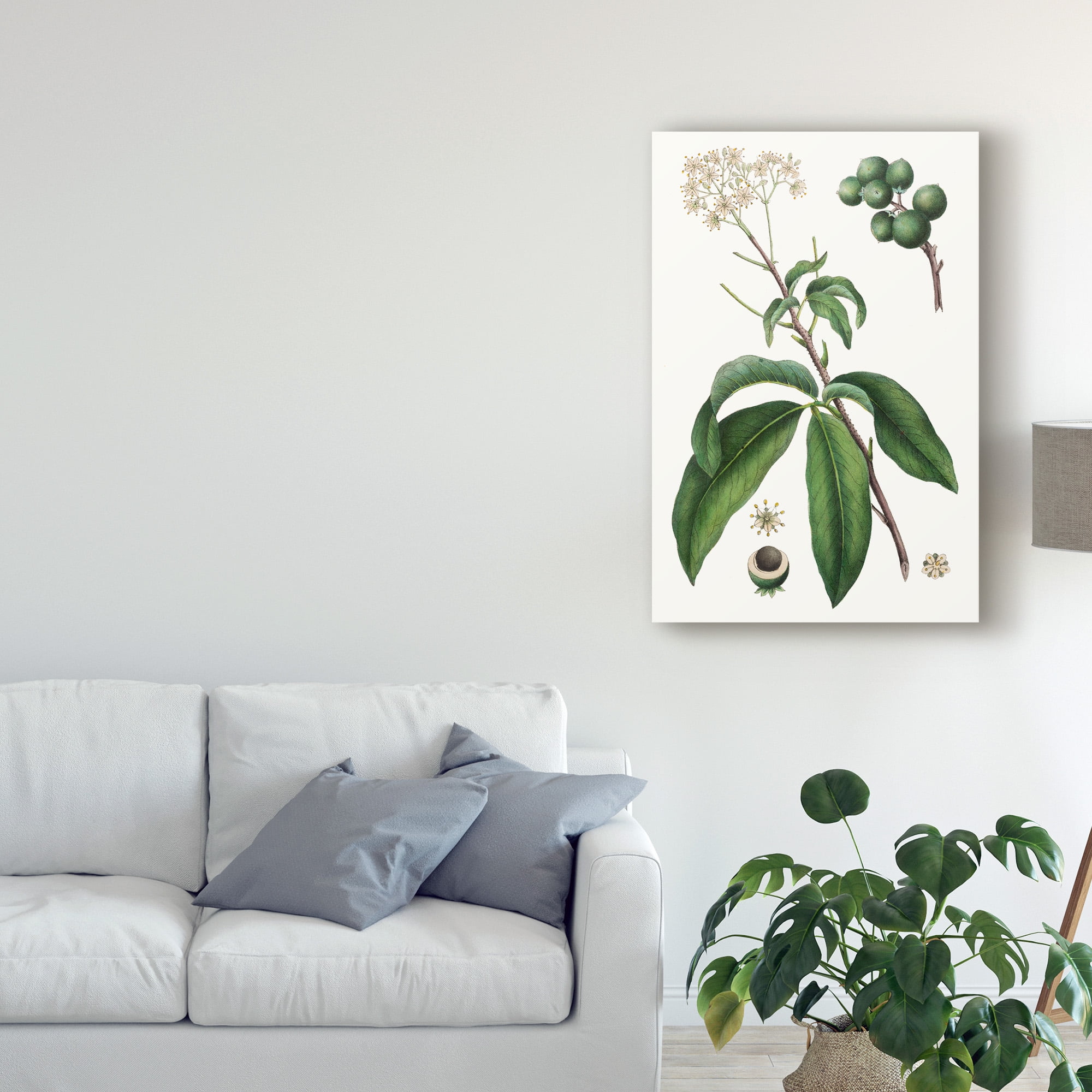 Trademark Fine Art 'Foliage & Blooms II' Canvas Art by Thomas Nuttall