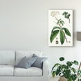 thumbnail image 3 of Trademark Fine Art 'Foliage & Blooms II' Canvas Art by Thomas Nuttall, 3 of 4