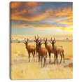 thumbnail image 2 of Troupeau d'Antilopes dans les Prairies - Impression sur Toile Africaine Extra Large, 2 of 3