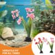 thumbnail image 3 of EXHUMKY 2Ud Adornos De Plásticas Para Acuario Ideales Para Paisajismo Y En Varios Tamaños, 3 of 6
