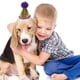 thumbnail image 4 of 3 paquetes de mini sombrero de cumpleaños para perros pequeños, sombreros de fiesta para gatos, diadema para el cuidado de cumpleaños de mascotas, accesorios estilo 5, 4 of 5