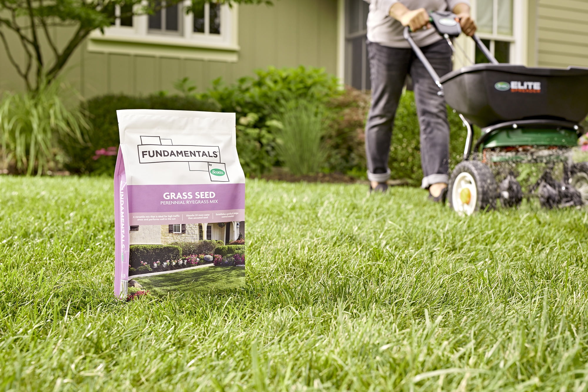 Fundamentals by Scotts Grass Seed Perennial Ryegrass Mix, 3 lbs.