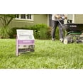 thumbnail image 6 of Fundamentals by Scotts Grass Seed Perennial Ryegrass Mix, 3 lbs., 6 of 10