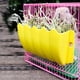 thumbnail image 4 of Comedero de Plástico No Mess Hays Rack Para Pequeños Animales Fuera de la Jaula Fácil de Instalar Mantener la Comida Limpia y Seca, 4 of 6