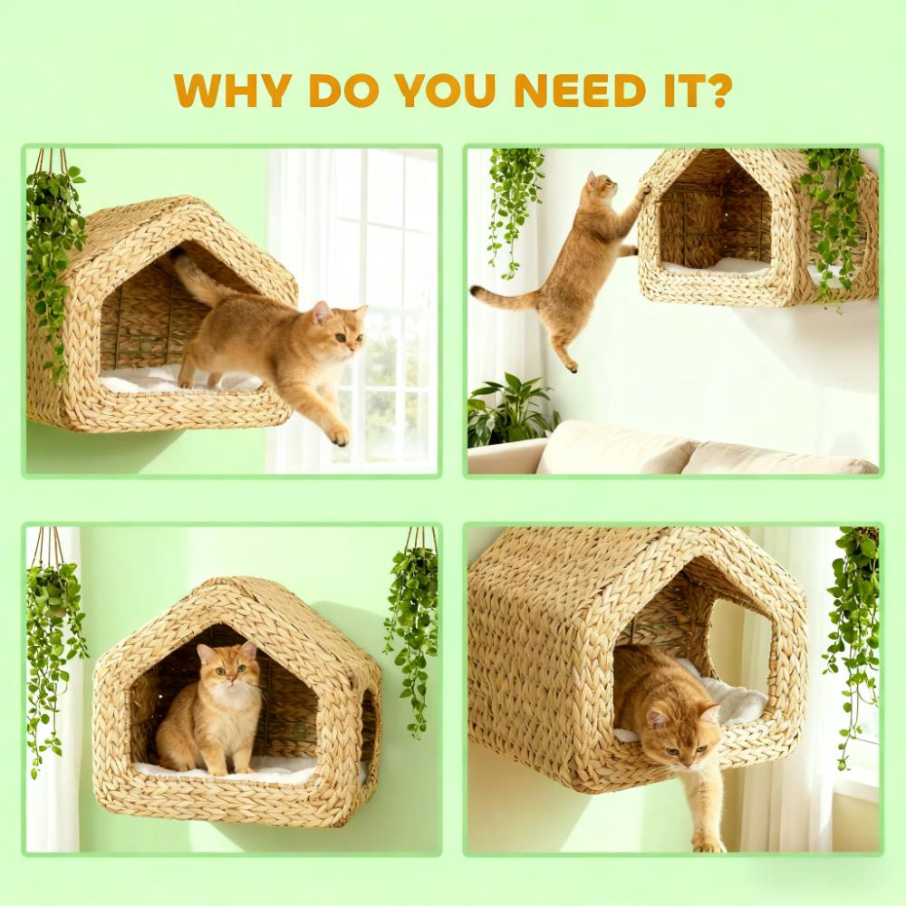 Wall Mounted Cat House
