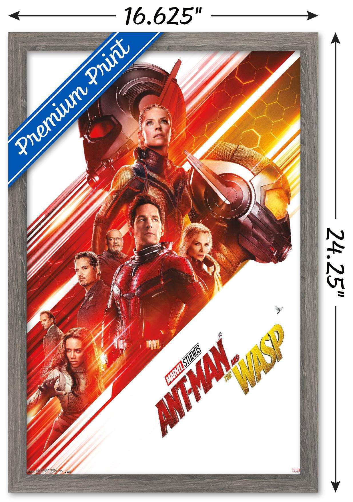 Marvel Cinematic Universe - Ant-Man - Group One Sheet Wall Poster, 14.725" x 22.375", Framed